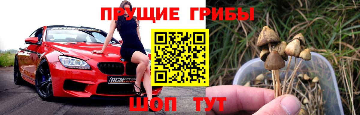 Галлюциногенные грибы Cubensis  Вход с VPN  Омск 